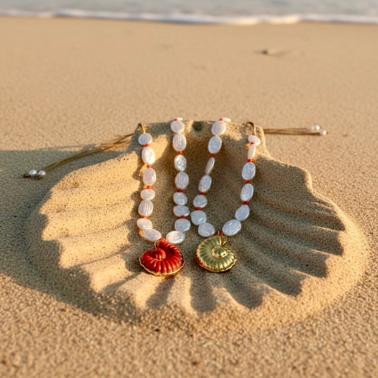 Shell Solstice