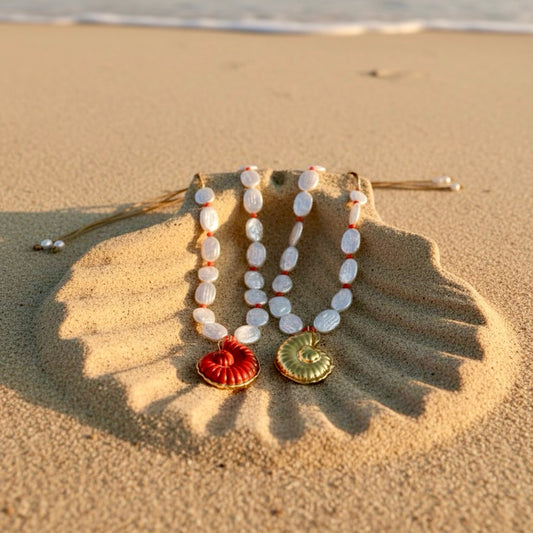 Shell Solstice